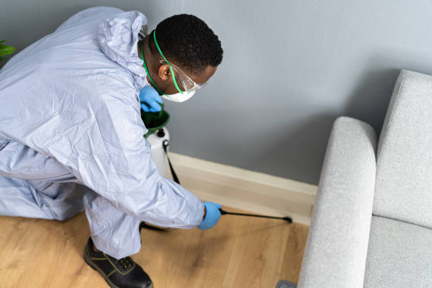 Emergency Pest Control Services in Dogtown, CA